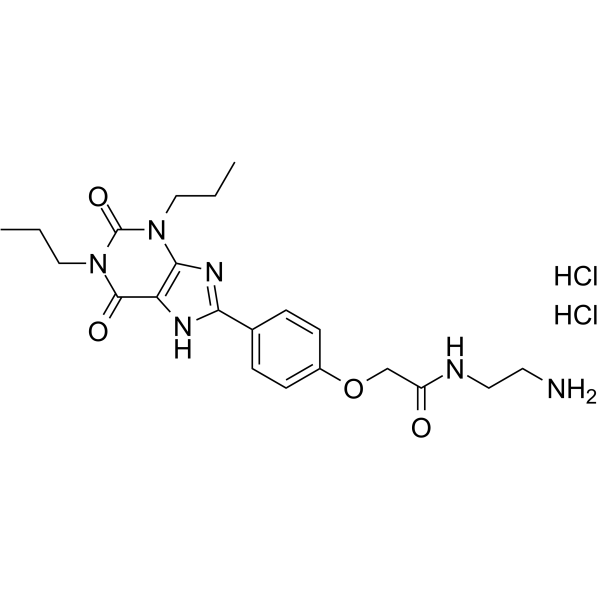 Xanthine amine congener dihydrochloride (XAC dihydrochloride) 1962928-23-9